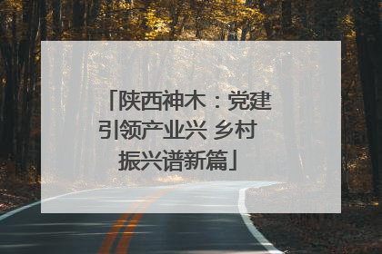 陕西神木：党建引领产业兴 乡村振兴谱新篇