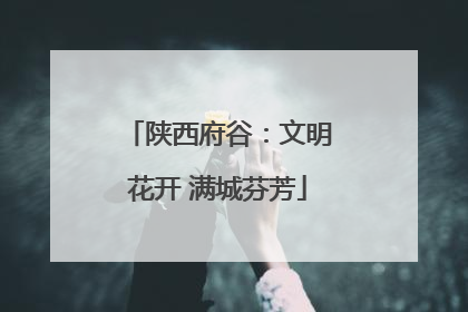 陕西府谷：文明花开 满城芬芳