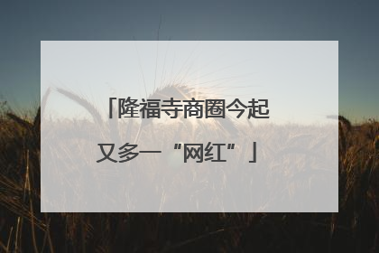 隆福寺商圈今起又多一“网红”