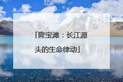 隆宝滩：长江源头的生命律动