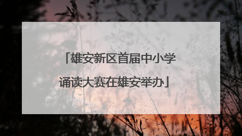 雄安新区首届中小学诵读大赛在雄安举办