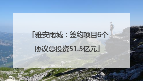 雅安雨城：签约项目6个 协议总投资51.5亿元