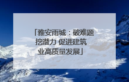 雅安雨城：破难题 挖潜力 促进建筑业高质量发展