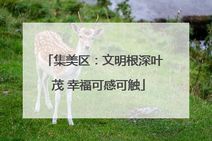 集美区：文明根深叶茂 幸福可感可触