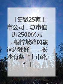 集聚25家上市公司，总市值近2500亿元，桐梓坡路风景这边独好——长沙有条“上市路”