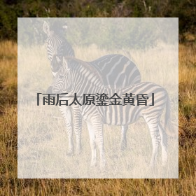 雨后太原鎏金黄昏