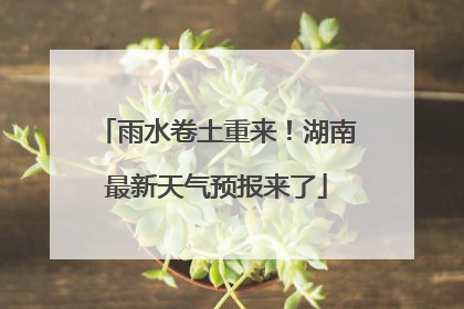 雨水卷土重来！湖南最新天气预报来了