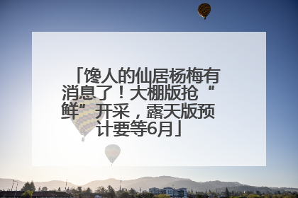 馋人的仙居杨梅有消息了！大棚版抢“鲜”开采，露天版预计要等6月