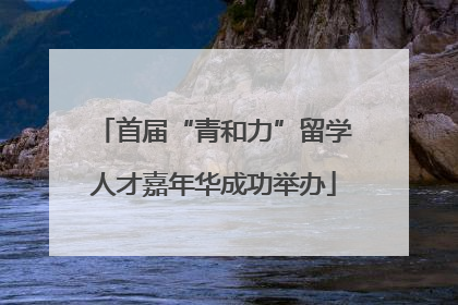首届“青和力”留学人才嘉年华成功举办