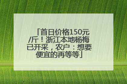 首日价格150元/斤！浙江本地杨梅已开采，农户：想要便宜的再等等