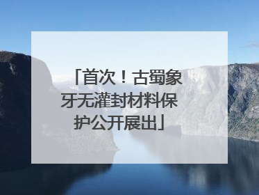 首次！古蜀象牙无灌封材料保护公开展出