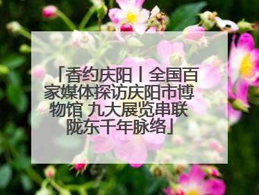香约庆阳丨全国百家媒体探访庆阳市博物馆 九大展览串联陇东千年脉络