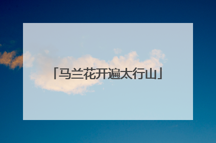 马兰花开遍太行山