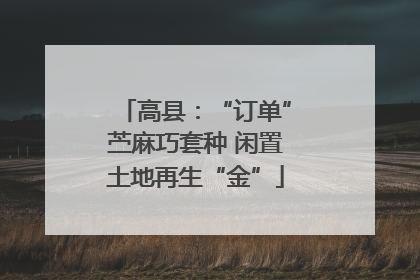 高县：“订单”苎麻巧套种 闲置土地再生“金”