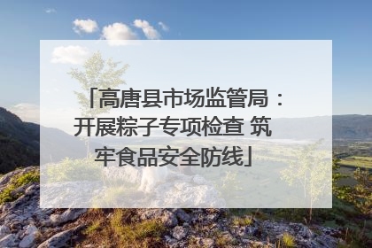高唐县市场监管局：开展粽子专项检查 筑牢食品安全防线