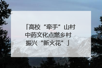 高校“牵手”山村 中药文化点燃乡村振兴“新火花”