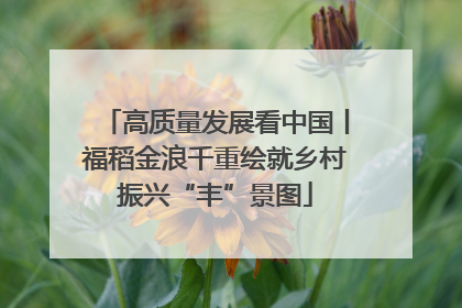 高质量发展看中国丨福稻金浪千重绘就乡村振兴“丰”景图