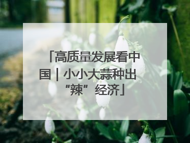 高质量发展看中国|小小大蒜种出“辣”经济