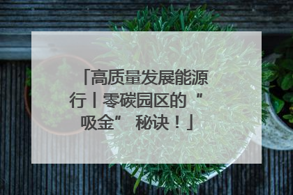高质量发展能源行丨零碳园区的“吸金” 秘诀！