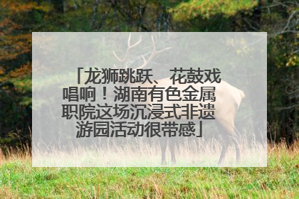 龙狮跳跃、花鼓戏唱响！湖南有色金属职院这场沉浸式非遗游园活动很带感