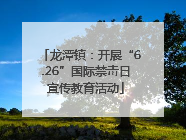龙潭镇：开展“6.26”国际禁毒日宣传教育活动