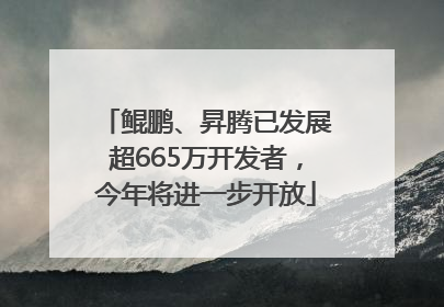 鲲鹏、昇腾已发展超665万开发者，今年将进一步开放