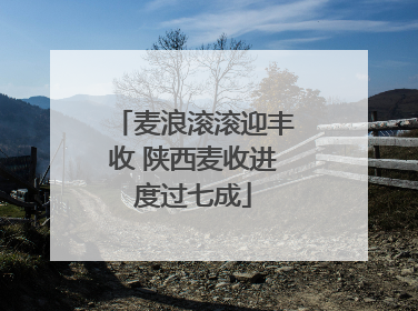 麦浪滚滚迎丰收 陕西麦收进度过七成
