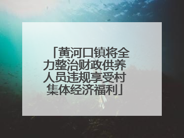 黄河口镇将全力整治财政供养人员违规享受村集体经济福利