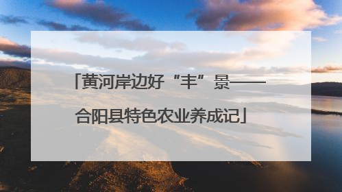 黄河岸边好“丰”景——合阳县特色农业养成记