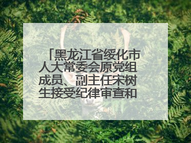 黑龙江省绥化市人大常委会原党组成员、副主任宋树生接受纪律审查和监察调查