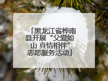 黑龙江省桦南县开展“父爱如山 真情相伴”志愿服务活动