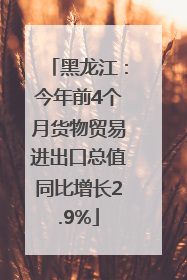黑龙江：今年前4个月货物贸易进出口总值同比增长2.9%