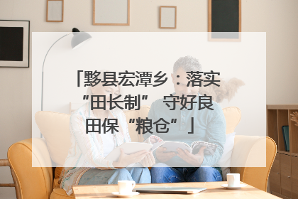 黟县宏潭乡：落实“田长制” 守好良田保“粮仓”