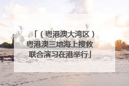 （粤港澳大湾区）粤港澳三地海上搜救联合演习在港举行