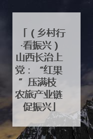 （乡村行·看振兴）山西长治上党：“红果”压满枝 农旅产业链促振兴