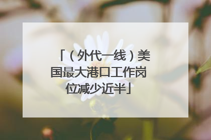 （外代一线）美国最大港口工作岗位减少近半
