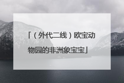 （外代二线）欧宝动物园的非洲象宝宝