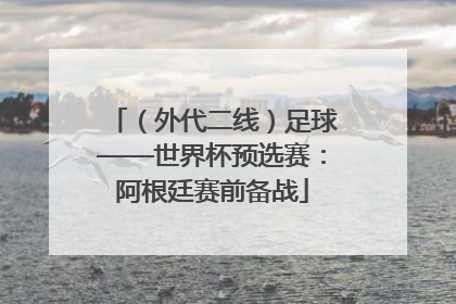 （外代二线）足球——世界杯预选赛：阿根廷赛前备战