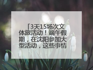 3天15场次文体旅活动！端午假期，在沈阳参加大型活动，这些事情要注意！