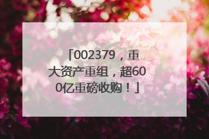 002379，重大资产重组，超600亿重磅收购！