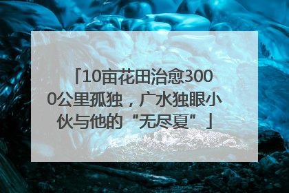 10亩花田治愈3000公里孤独，广水独眼小伙与他的“无尽夏”