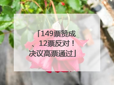 149票赞成、12票反对！决议高票通过