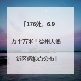 176处、6.9万平方米！德州天衢新区晒粮点公布