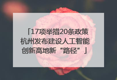 17项举措20条政策 杭州发布建设人工智能创新高地新“路径”