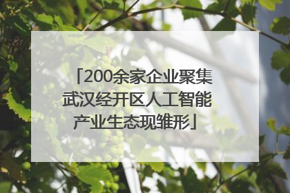 200余家企业聚集 武汉经开区人工智能产业生态现雏形