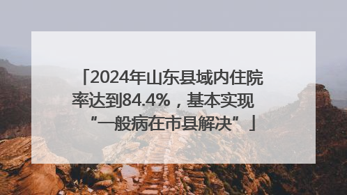 2024年山东县域内住院率达到84.4%，基本实现“一般病在市县解决”