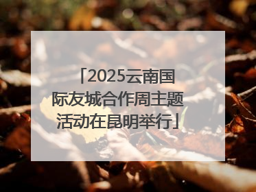 2025云南国际友城合作周主题活动在昆明举行