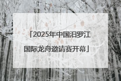 2025年中国汨罗江国际龙舟邀请赛开幕