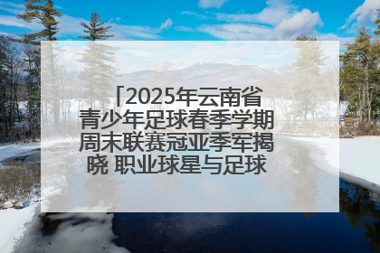2025年云南省青少年足球春季学期周末联赛冠亚季军揭晓 职业球星与足球小将共享荣耀时刻