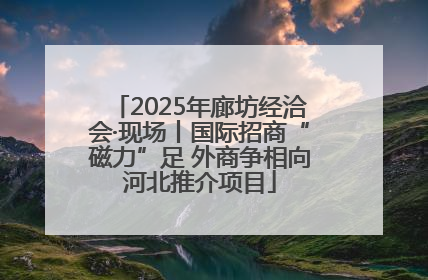 2025年廊坊经洽会·现场丨国际招商“磁力”足 外商争相向河北推介项目